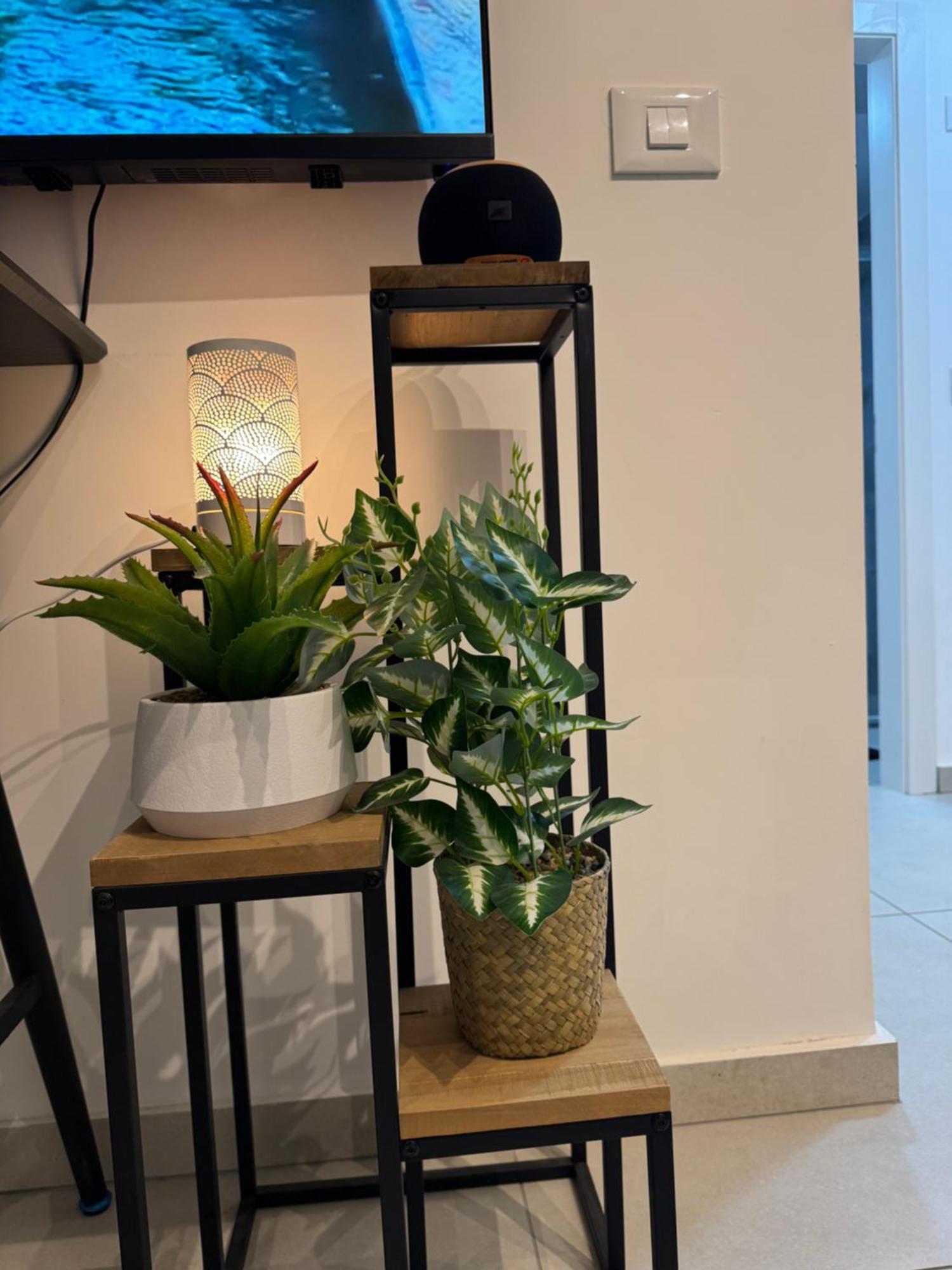 Apartmán פסגת הדקל Ejlat Exteriér fotografie